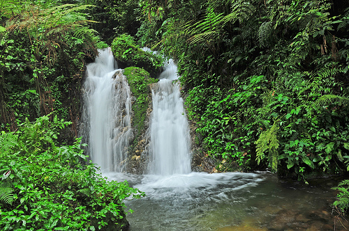 uganda safari holiday